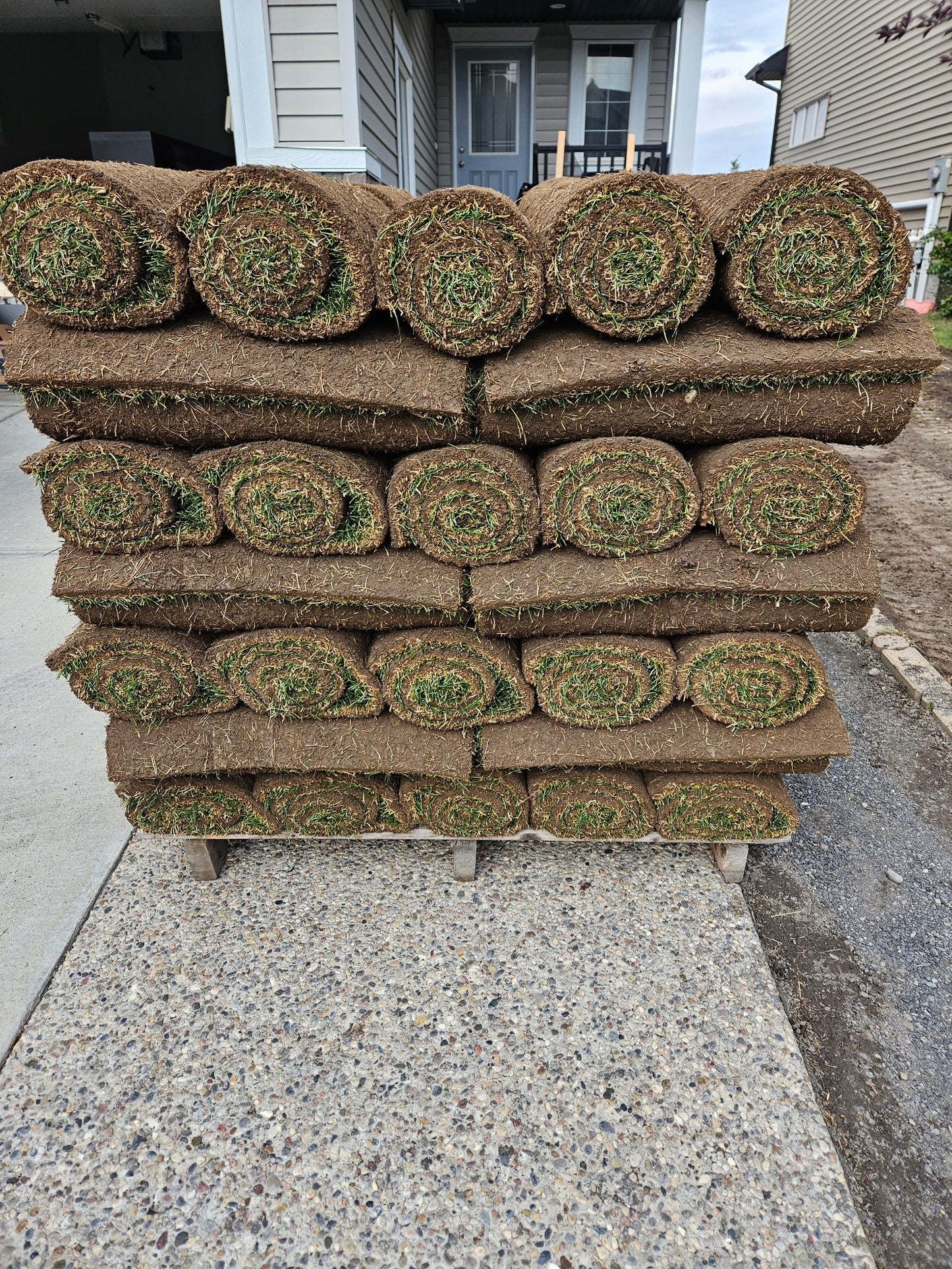 Fresh Sod