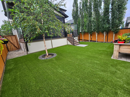 Premium Artificial Turf